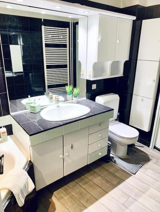 Tour De L'Europe, En Plein Centre Avec Parking. Apartment Mulhouse Ngoại thất bức ảnh