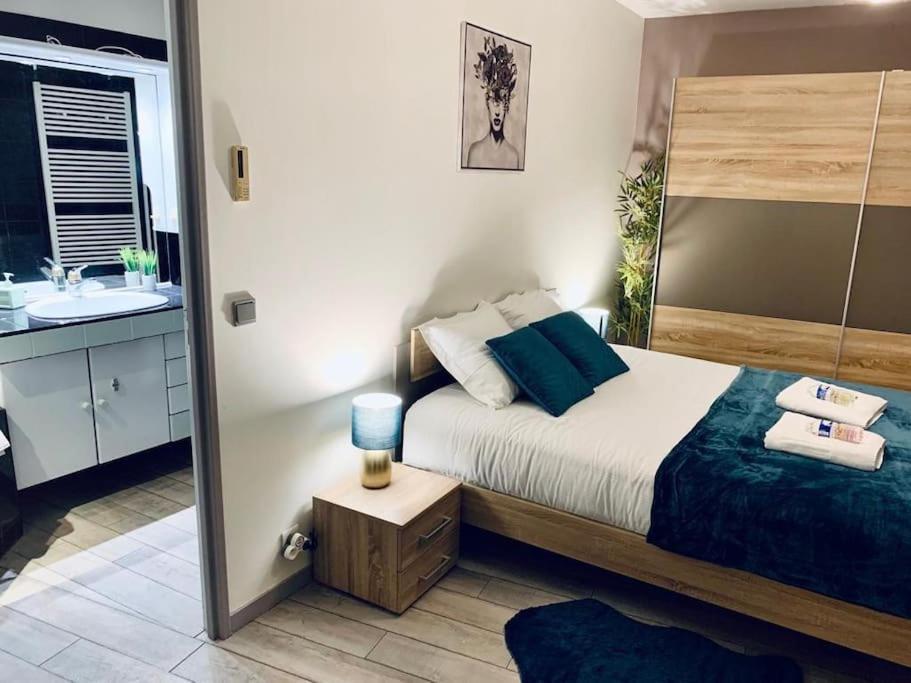 Tour De L'Europe, En Plein Centre Avec Parking. Apartment Mulhouse Ngoại thất bức ảnh